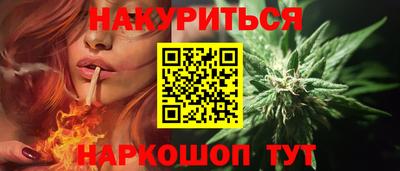 сатива Краснознаменск