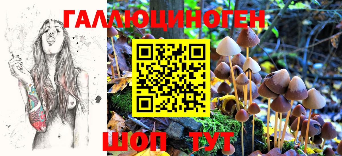 Псилоцибиновые грибы мицелий  Вход с VPN  Зима  Псилоцибиновые грибы Magic Shrooms 